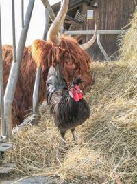 IMG-20200308-WA0009_1