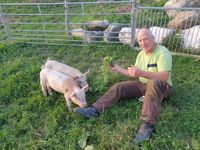 IMG-20200725-WA0014_1